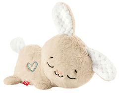 Fisher-Price  Soothe en Settle Bunny 0194735229659