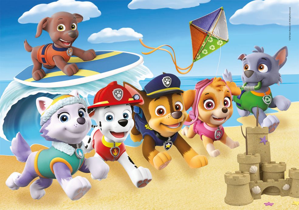 Puzzel - Paw Patrol - 60 st 8005125260911