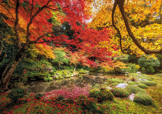 Puzzel High Quality - Autumn park - 1500 st 8005125318209