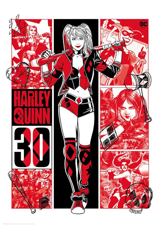  DC Comics: 30th Anniversary - Harley Quinn Limited Edition Art Print  5060662469398
