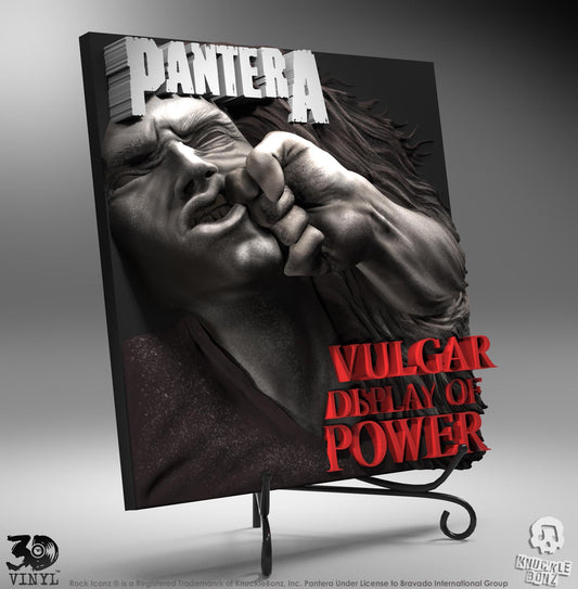  3D Vinyl: Pantera - Vulgar Display of Power  0655646624921