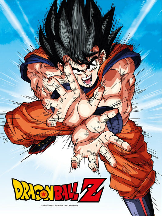  Dragon Ball Z: Goku Kame 30 x 40 cm Glass Poster  8435450249969