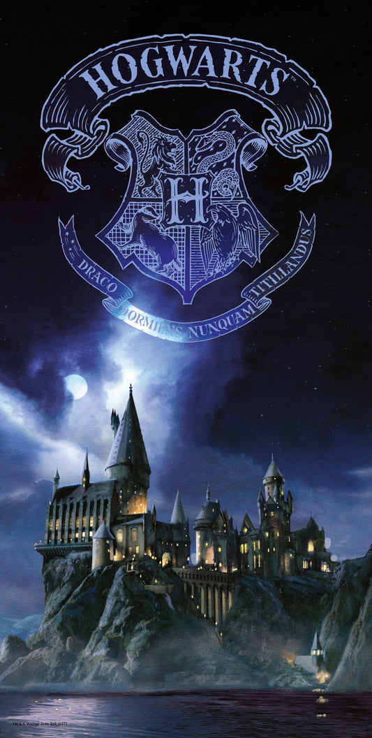  Harry Potter: Hogwarts 30 x 60 cm Glass Poster  8435450249983