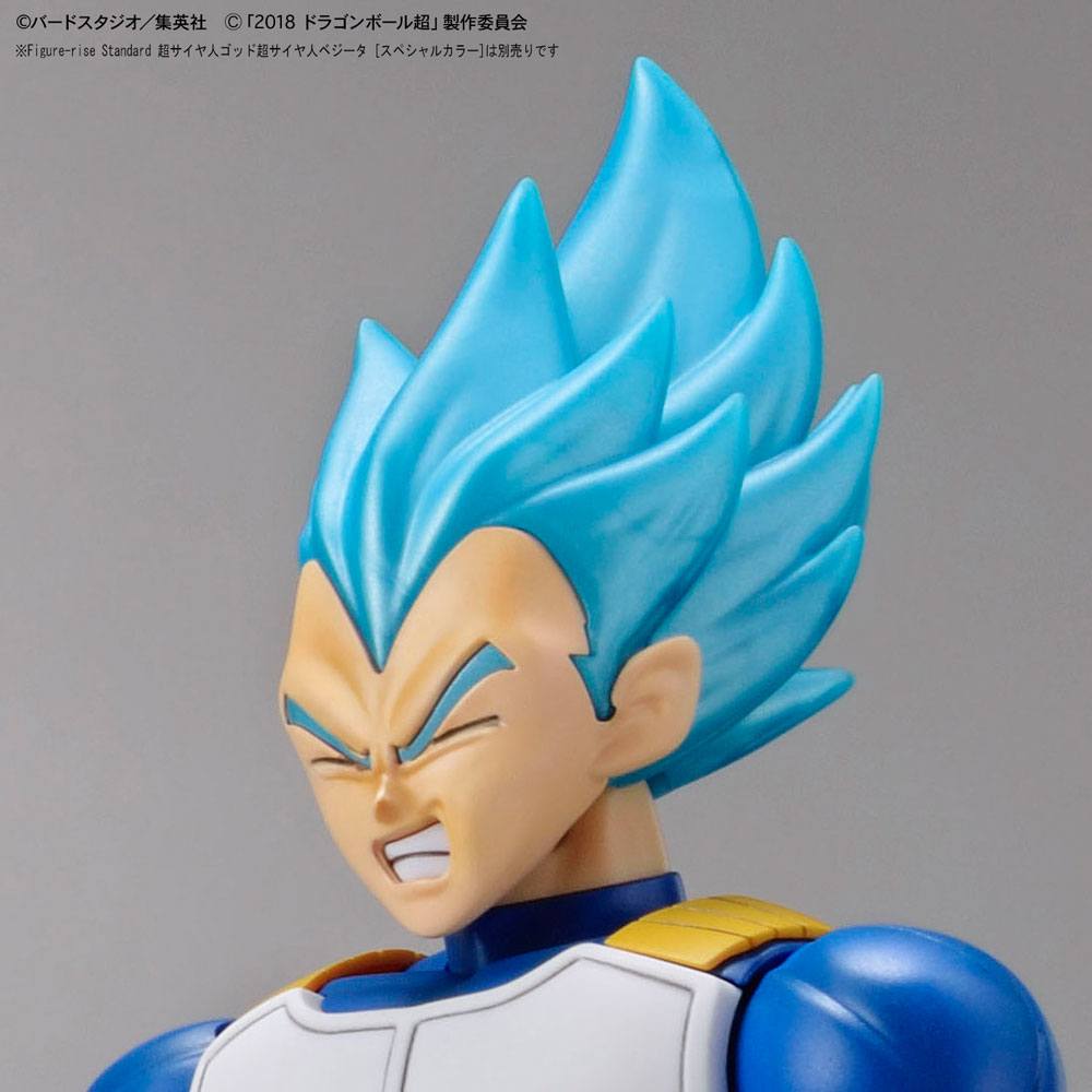 Dragonball Super Figure-rise Standard Plastic Model Kit Super Saiyan Broly Fullpower 15 cm 4573102557124