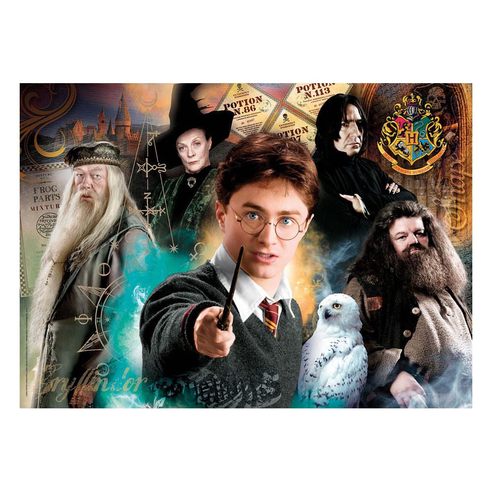 Harry Potter Jigsaw Puzzle Harry at Hogwarts (500 pieces) 8005125350834