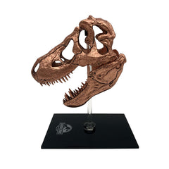 Jurassic Park Scaled Prop Replica T-Rex Skull 10 cm 5060224089026