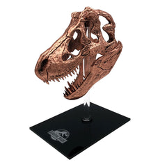 Jurassic Park Scaled Prop Replica T-Rex Skull 10 cm 5060224089026