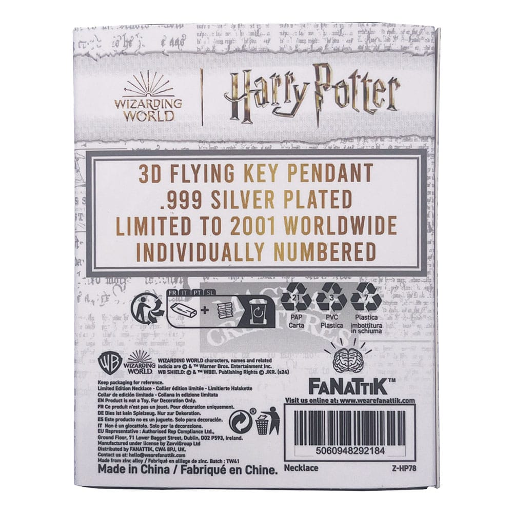 Harry Potter Necklace with Pendant Flying Key 5060948292184