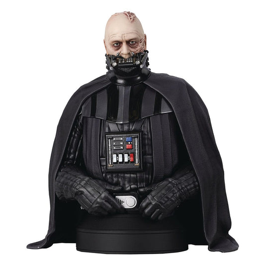 Star Wars Episode VI Bust 1/6 Darth Vader (unhelmeted) 15 cm 0699788848548