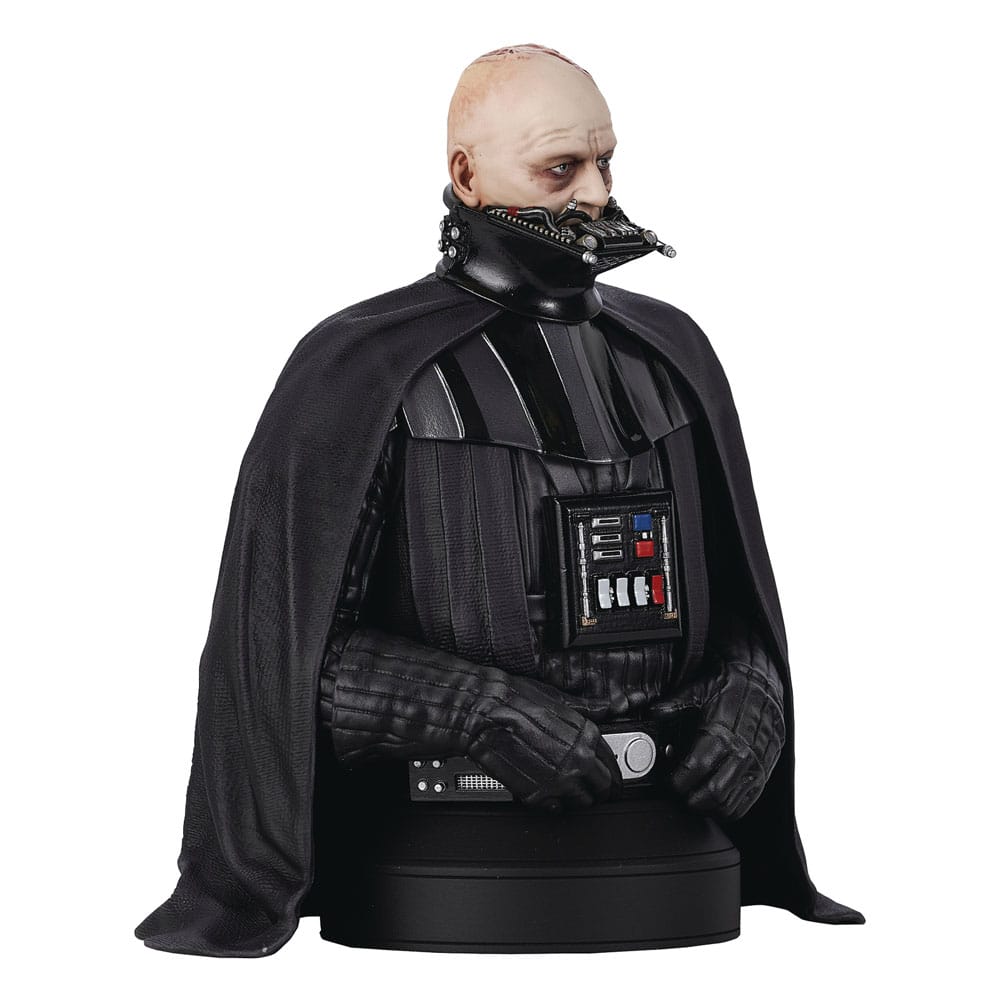 Star Wars Episode VI Bust 1/6 Darth Vader (unhelmeted) 15 cm 0699788848548