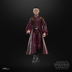 Star Wars Episode I Black Series Action Figur 5010996226105