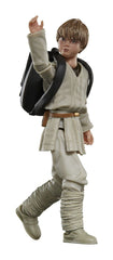 Star Wars Episode I Black Series Action Figur 5010996226112