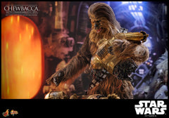 Star Wars Episode V Movie Masterpiece Action Figure 1/6 Chewbacca with Disassembled C-3PO 36 cm 4895228619594