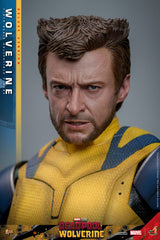 Deadpool & Wolverine Movie Masterpiece Action Figure 1/6 Wolverine (Deluxe Version) 31 cm 4895228618344