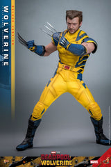 Deadpool & Wolverine Movie Masterpiece Action Figure 1/6 Wolverine (Deluxe Version) 31 cm 4895228618344