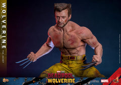 Deadpool & Wolverine Movie Masterpiece Action Figure 1/6 Wolverine (TVA Jacket Version) 31 cm 4895228618986