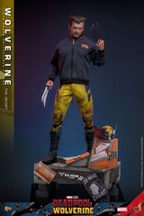 Deadpool & Wolverine Movie Masterpiece Action Figure 1/6 Wolverine (TVA Jacket Version) 31 cm 4895228618986