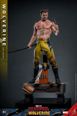 Deadpool & Wolverine Movie Masterpiece Action Figure 1/6 Wolverine (TVA Jacket Version) 31 cm 4895228618986