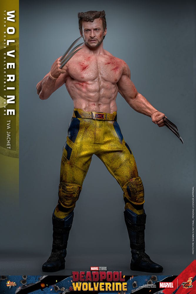 Deadpool & Wolverine Movie Masterpiece Action Figure 1/6 Wolverine (TVA Jacket Version) 31 cm 4895228618986