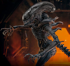 Alien: Romulus Movie Masterpiece Action Figure 1/6 Scorched Xenomorph 44 cm 4895228620361