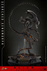 Alien: Romulus Movie Masterpiece Action Figure 1/6 Scorched Xenomorph 44 cm 4895228620361