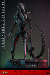 Alien: Romulus Movie Masterpiece Action Figure 1/6 Scorched Xenomorph 44 cm 4895228620361