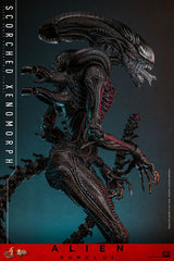 Alien: Romulus Movie Masterpiece Action Figure 1/6 Scorched Xenomorph 44 cm 4895228620361