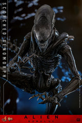 Alien: Romulus Movie Masterpiece Action Figure 1/6 Scorched Xenomorph 44 cm 4895228620361