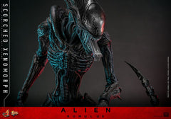 Alien: Romulus Movie Masterpiece Action Figure 1/6 Scorched Xenomorph 44 cm 4895228620361