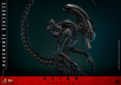 Alien: Romulus Movie Masterpiece Action Figure 1/6 Scorched Xenomorph 44 cm 4895228620361