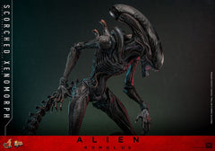 Alien: Romulus Movie Masterpiece Action Figure 1/6 Scorched Xenomorph 44 cm 4895228620361