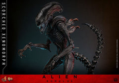 Alien: Romulus Movie Masterpiece Action Figure 1/6 Scorched Xenomorph 44 cm 4895228620361