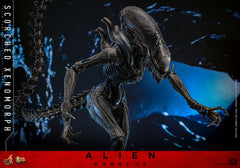 Alien: Romulus Movie Masterpiece Action Figure 1/6 Scorched Xenomorph 44 cm 4895228620361