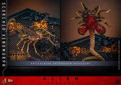 Alien: Romulus Movie Masterpiece Action Figure 1/6 Scorched Xenomorph 44 cm 4895228620361