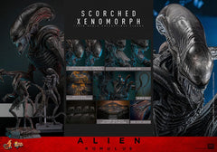 Alien: Romulus Movie Masterpiece Action Figure 1/6 Scorched Xenomorph 44 cm 4895228620361