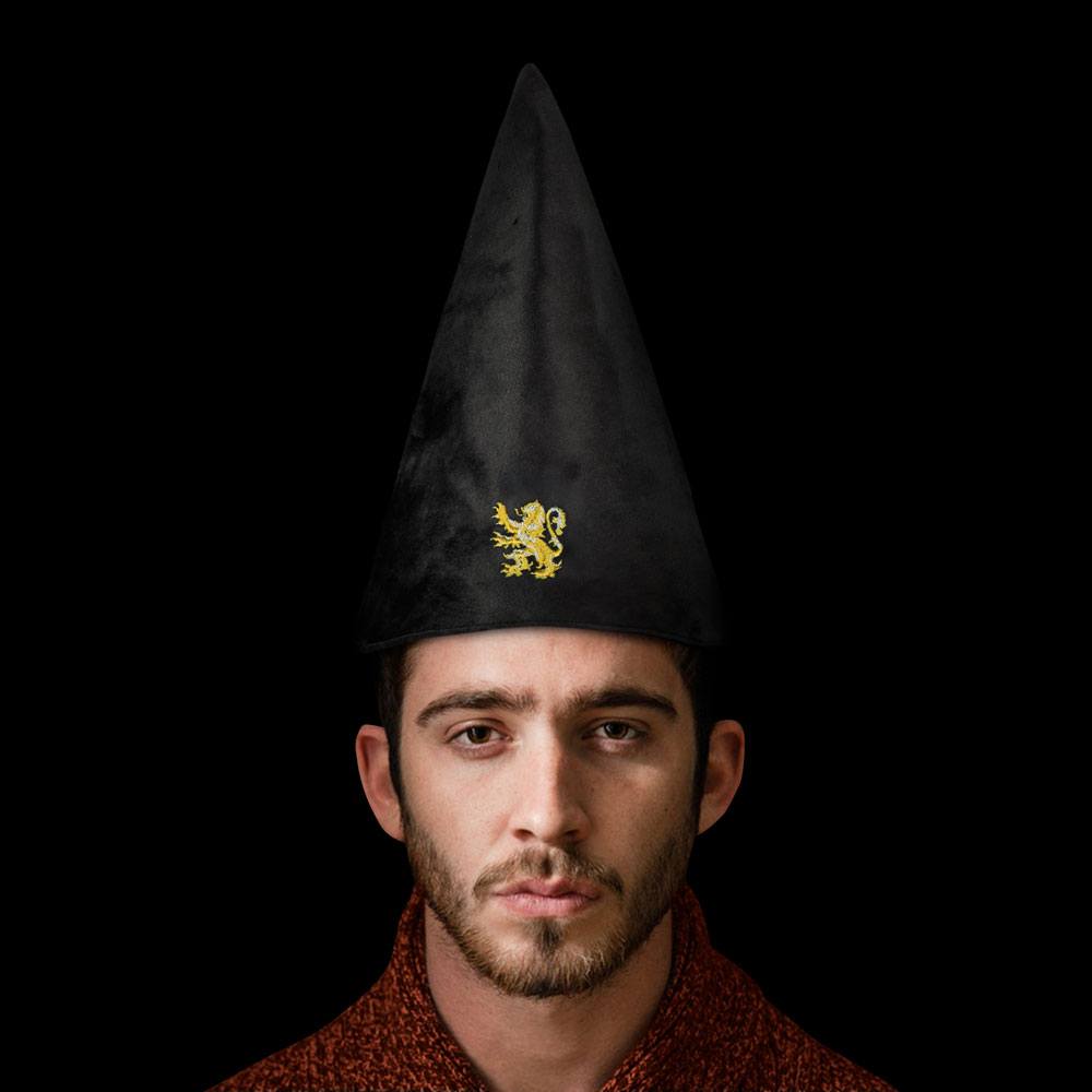 Harry Potter Student Hat Gryffindor 32 cm 4895205601611