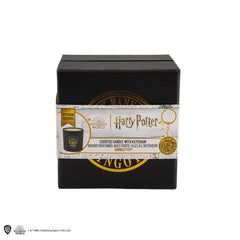 Harry Potter Candle with Keychain Gringott 4895205608153