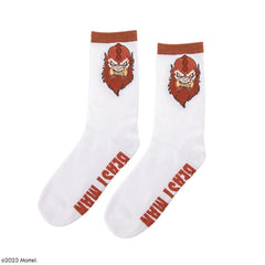 Masters of the Universe - Revelation: He-Man & Skeletor & Beast Man Socks Set of 3 4895205610453