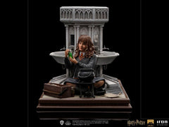 Harry Potter Deluxe Art Scale Statue 1/10 Hermione Granger Polyjuice 14 cm 0618231950546