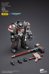 Warhammer 40k Action Figure 1/18 Grey Knights Terminator Caddon Vibova 13 cm 6973130373228