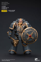 Warhammer The Horus Heresy Action Figure 1/18 Space Wolves Grey Slayer Pack Grey Slayer 1 12 cm 6973130377400