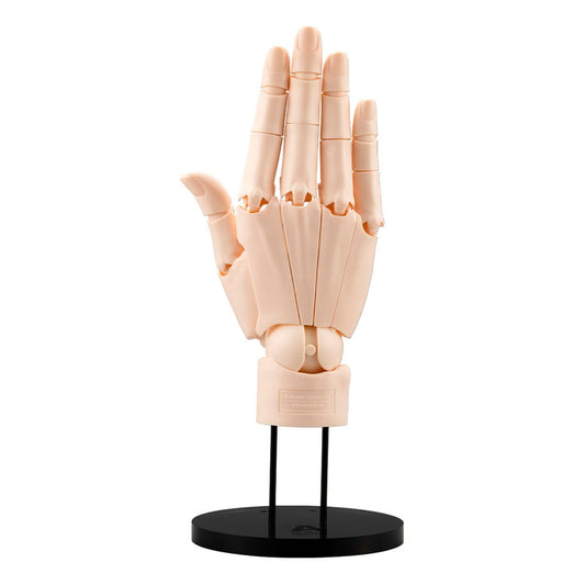 Takahiro Kagami PVC Artist Support Item Hand 1/1 Model/R Pale Orange 21 cm 4934054063109