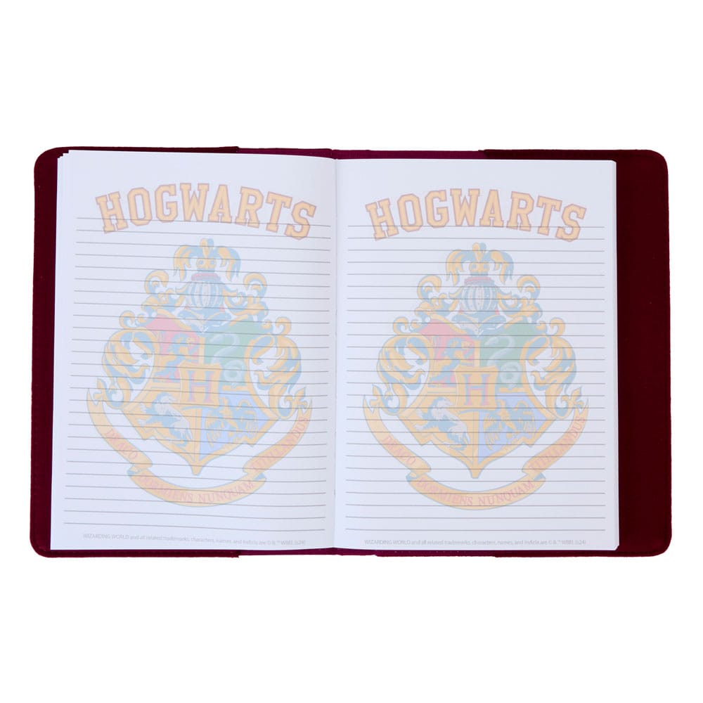 Harry Potter by Loungefly Notebook 0671803531383