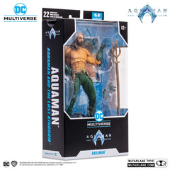 Aquaman and the Lost Kingdom DC Multiverse Action Figure Aquaman 18 cm 0787926155365