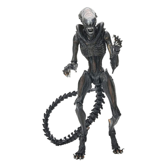 Alien: Romulus Ultimate Action Figure Scorched Xenomorph 18 cm 0634482517413