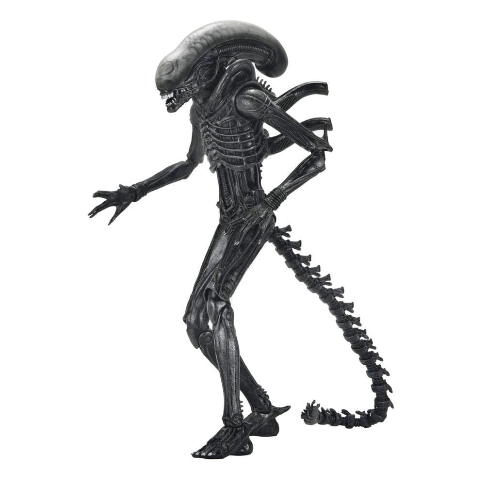 Alien: Romulus Action Figure Ultimate Xenomorph XX121 18 cm 0634482517420