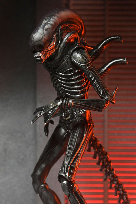 Alien: Romulus Action Figure Ultimate Xenomorph XX121 18 cm 0634482517420