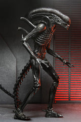 Alien: Romulus Action Figure Ultimate Xenomorph XX121 18 cm 0634482517420