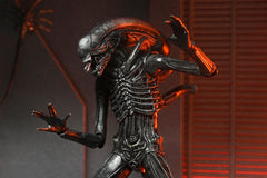 Alien: Romulus Action Figure Ultimate Xenomorph XX121 18 cm 0634482517420