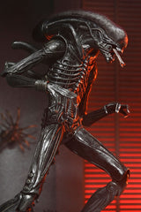 Alien: Romulus Action Figure Ultimate Xenomorph XX121 18 cm 0634482517420